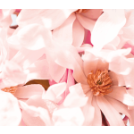 Náplň do osvěžovače POD, SOLO, DUAL - Drcené okvětní lístky