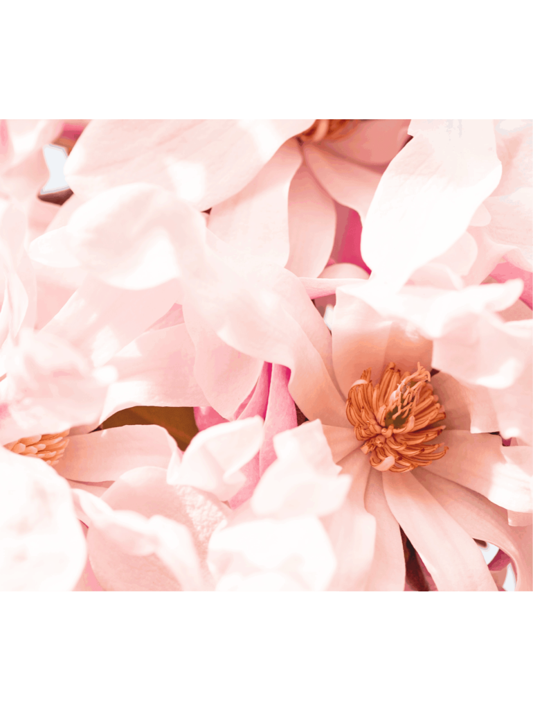 Náplň do osvěžovače POD, SOLO, DUAL - Drcené okvětní lístky