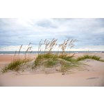 Náplň do osvěžovače POD, SOLO, DUAL - Pobřežní vánek