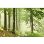 Náplň do osvěžovače POD, SOLO, DUAL - Vůně lesa