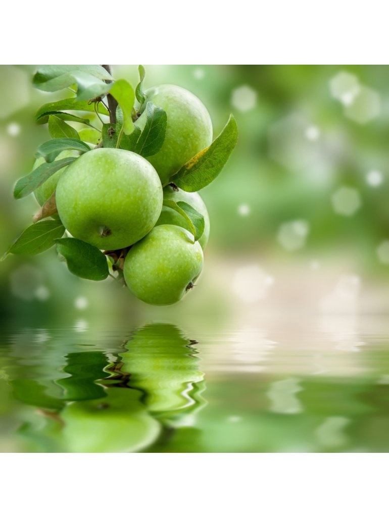 Náplň do osvěžovače POD, SOLO, DUAL - Zelené jablko