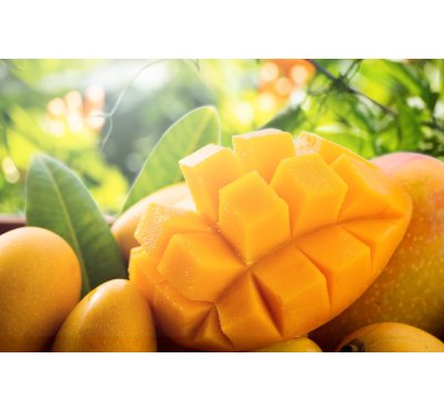 Náplň do osvěžovače HYscent F5 - Sladké mango