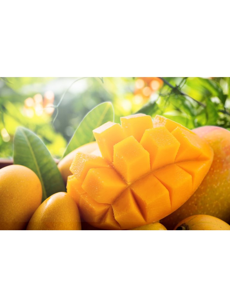 Náplň do osvěžovače HYscent F5 - Sladké mango