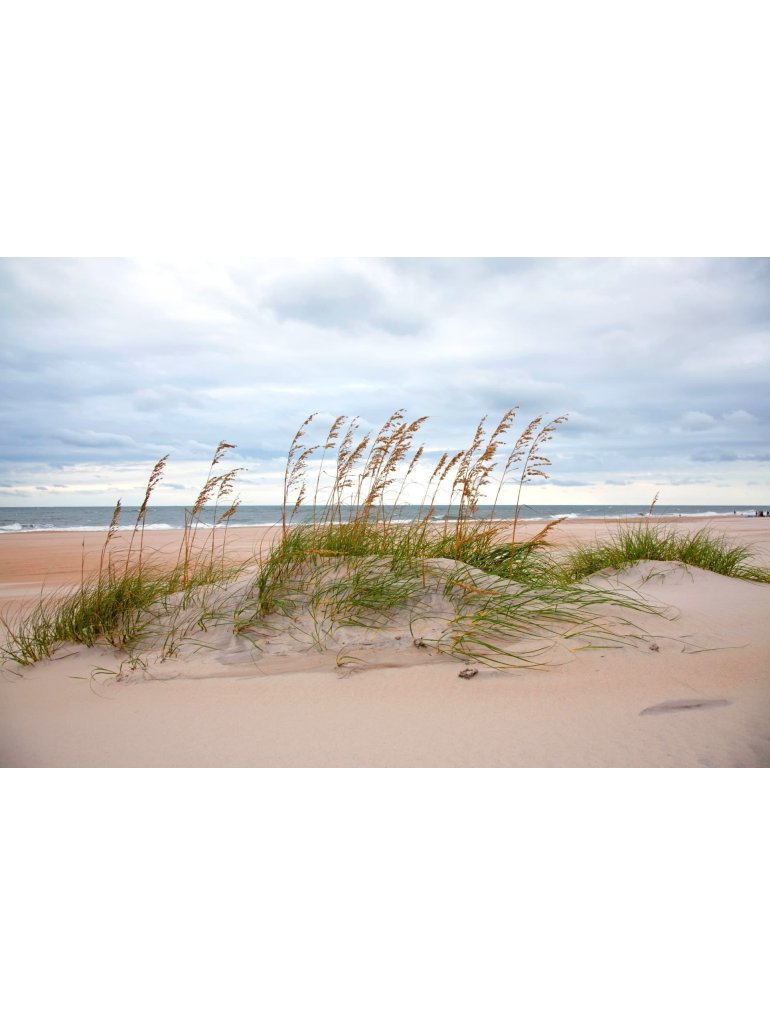 Náplň do osvěžovače HYscent F5 - Svěží mořský vánek