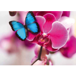 Náplň do osvěžovače POD, SOLO, DUAL - Paradise Nectar